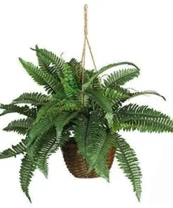 Artio Plastik Çiçeklik 74 cm Yeşil