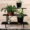 Beatrice Metal Çiçeklik 3 Raflı 90 cm – Siyah Endüstriyel Tasarım