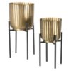 Bello Metal Çiçeklik 2 Raflı 50 cm Gold