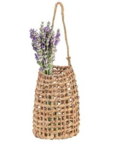 Cara Su Sümbülü Çiçeklik 30 cm Naturel