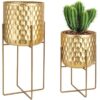 Colette Metal Gold Çiçeklik 2'li Set 45 cm