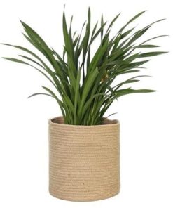 Costa Jüt Çiçeklik 28 cm Bej