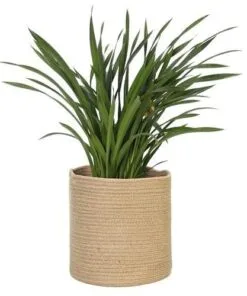 Costa Jüt Çiçeklik 28 cm Bej