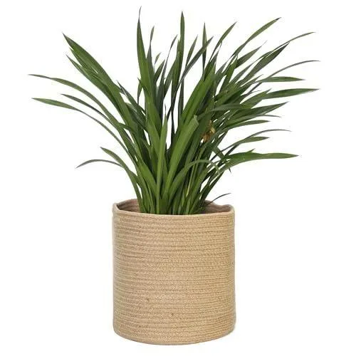 Costa Jüt Çiçeklik 28 cm Bej