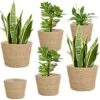 Donzella Hasır Plastik İç Astarlı Çiçeklik 25 cm Naturel 6lı Set