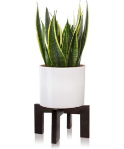 Evelina Tekli Ahşap Saksılık 32 cm