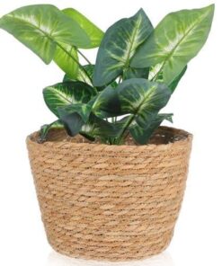 Fiori Hasır Saksı 5 cm Kahverengi