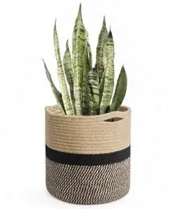 Intra Jüt Çiçeklik 28 cm Siyah