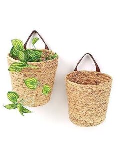 Luce Doğal Saz Çiçeklik 25 cm Kahverengi