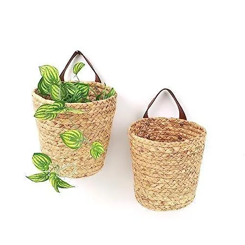 Luce Doğal Saz Çiçeklik 25 cm Kahverengi