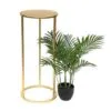 Misto Metal Çiçeklik 1 Raflı 70 cm Gold