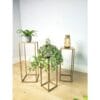 Nadin Metal Çiçeklik 3 Raflı 70 cm Altın