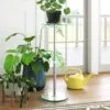 Olivia Cam Çiçeklik 1 Raflı 122 cm Şeffaf