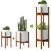 Ottavia Bambu 2 Raflı 76 cm Modern Çiçeklik