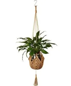 Perlino 105 cm Doğal Jüt Tek Katlı Makrome Saksılık