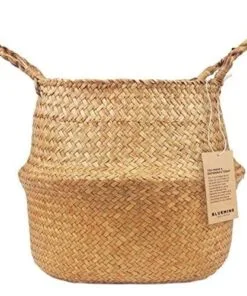Poliform Deniz Sazı Çiçeklik 28 cm Kahverengi