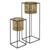 Prima Metal Çiçeklik 2 Raflı 71 cm Gold
