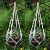 Sarto Krem Rengi Pamuk İp Demir 18 cm Makrome Saksılık