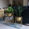 Storetti Metal Çiçeklik 40 cm Altın