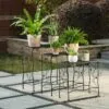 Tiziana Metal Çiçeklik 3 Raflı 60 cm Siyah