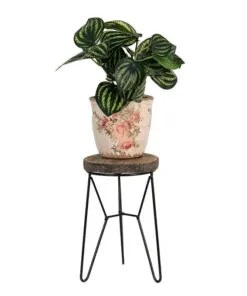 Valetta Ahşap Çiçeklik Sehpa 22 cm Kahverengi