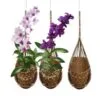 Verona 3lü Bambu Çiçeklik 11 cm Naturel
