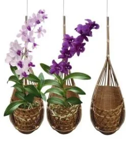 Verona 3lü Bambu Çiçeklik 11 cm Naturel