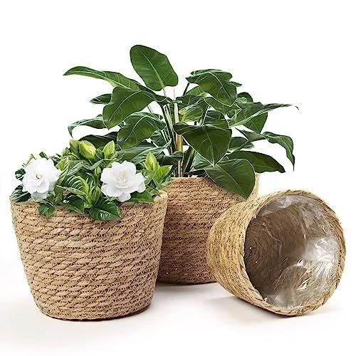 Vitello Doğal Su Sümbülü Çiçeklik 60 cm Kahverengi