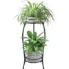 Lilia 2 Raflı Ferforje Uzun Çiçeklik 70 Cm Lilia 2 Raflı Ferforje Uzun Çiçeklik 70 Cm