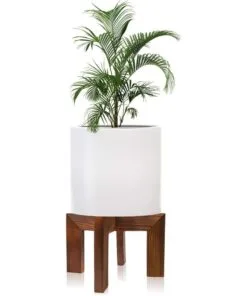Marigold Ahşap Saksılık Büyük