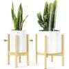 Soleil Ayarlanabilir Bambu Saksılık Soleil Ayarlanabilir Bambu Saksılık