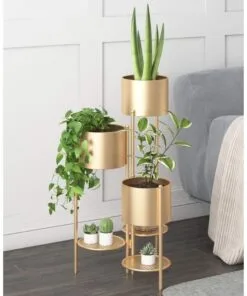 Gold Çiçeklik
