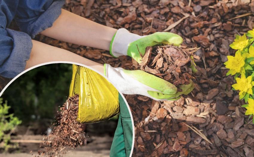 Bahçe Düzenlemesinde Doğal Yöntemler ve Yabani Otlarla Mücadele