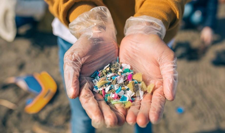 Bahçe Toprağında Mikroplastik Tehlikesi