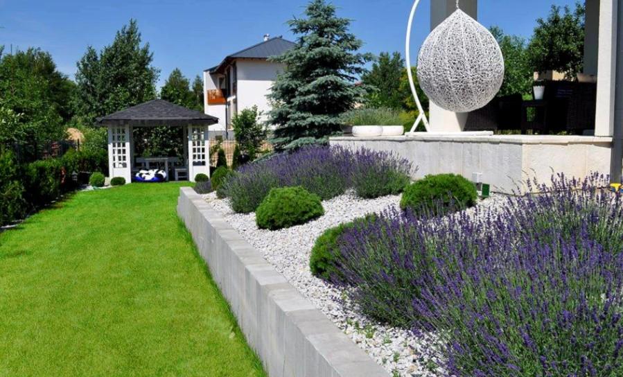 Lavanta Yetiştiriciliğinde Pratik İpuçları