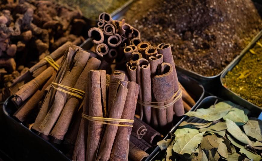 Saksı Değişimi Sonrası Bitkileri Canlandırmanın Doğal Yolu